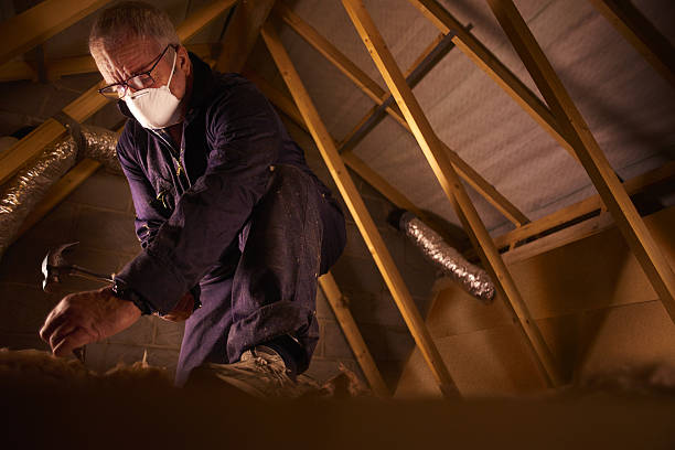 Best Insulation Removal  in Pennville, PA